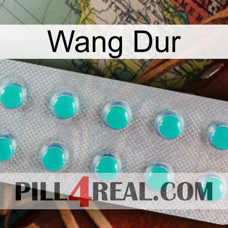 Hard Wang 28